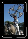 don quichoutte 022 * 2336 x 3504 * (2.79MB)